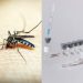 Alerta: Ministério da Saúde suspende vacina da dengue para investigar mortes